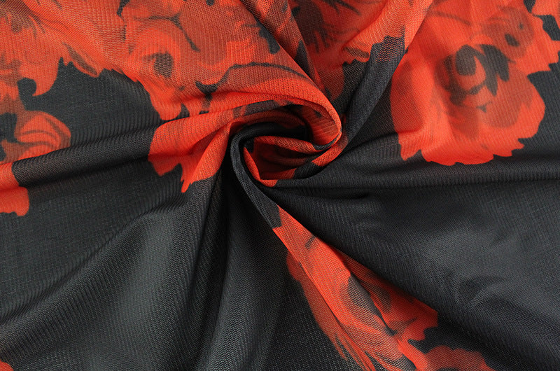 Red Hot Rose Mesh Dress | Irresistibly Elegant with a Daring Asymmetric Cut | noémi