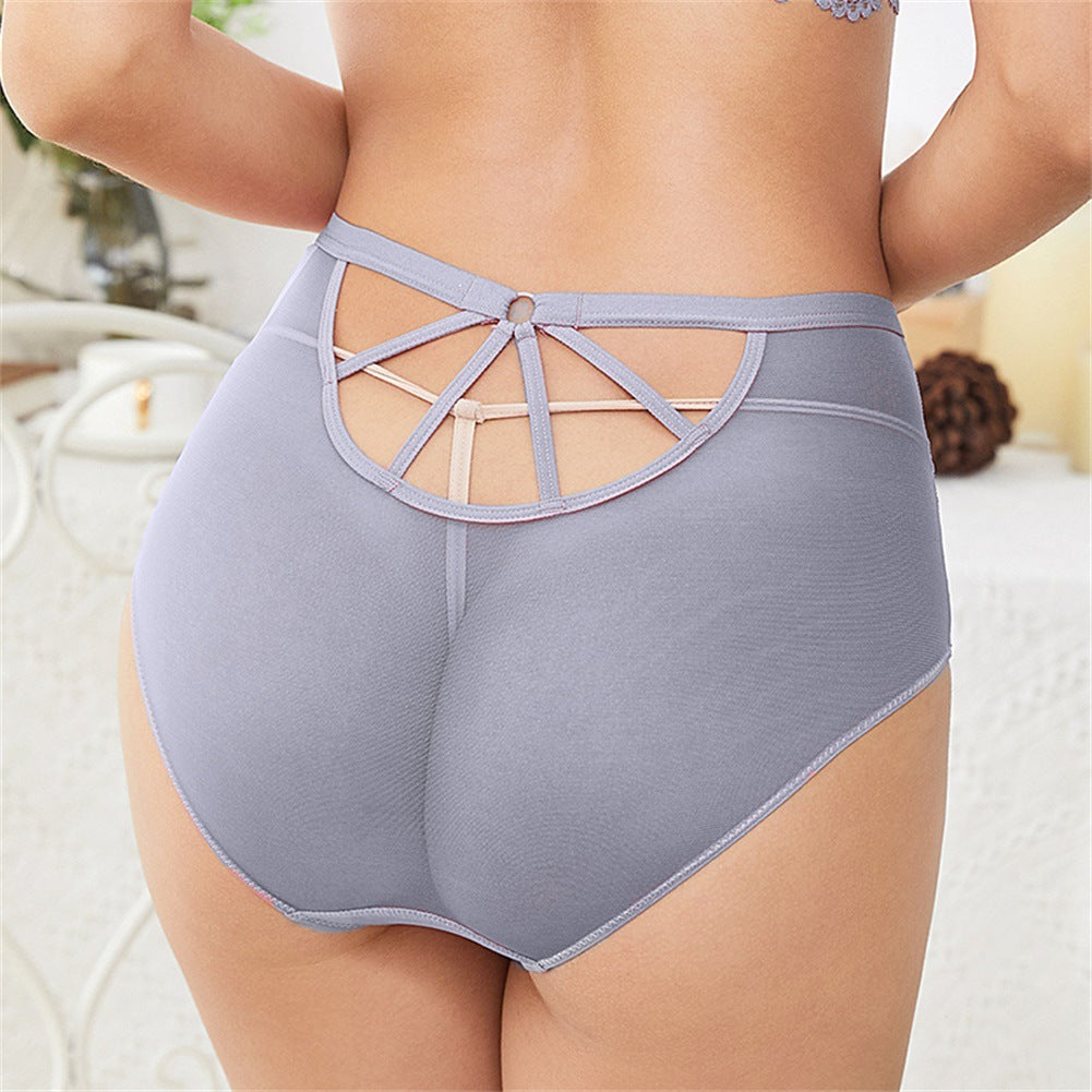 Honey Silk Lace High Waist Breathable Women Briefs Comfortable Fit | noémi