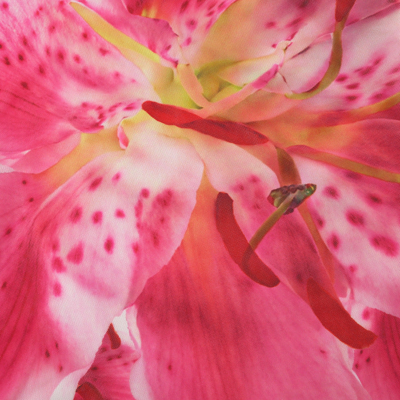 Floral One Shoulder Pleated Dress | Crossbody Ring | noémi