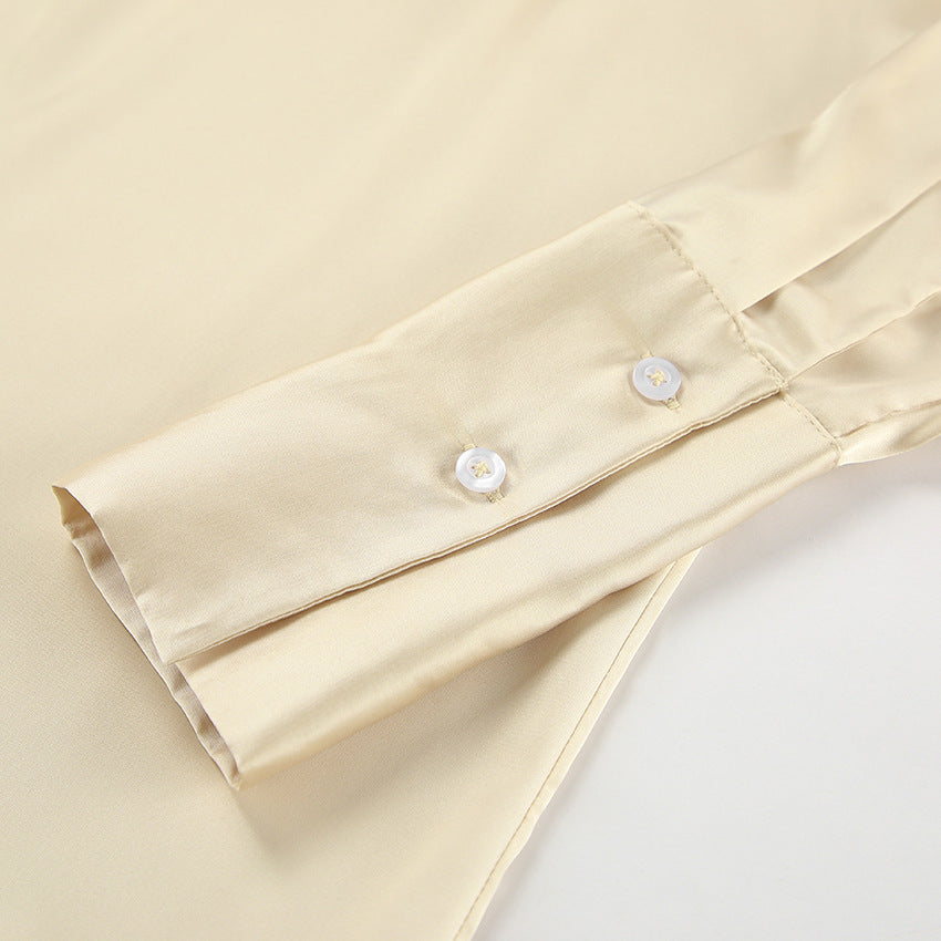 Satin Long Sleeve Blouse for Women | Bottoming Shirt with High Sense Style | noémi