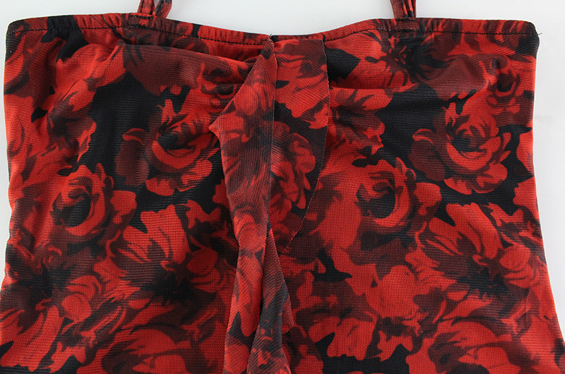 Red Hot Rose Mesh Dress | Irresistibly Elegant with a Daring Asymmetric Cut | noémi