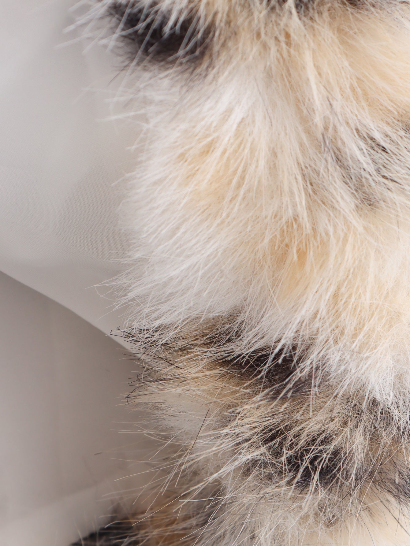 Leopard Print Faux Fur Coat | Oversized Winter Jacket with Plush Collar, Animal Print | noémi