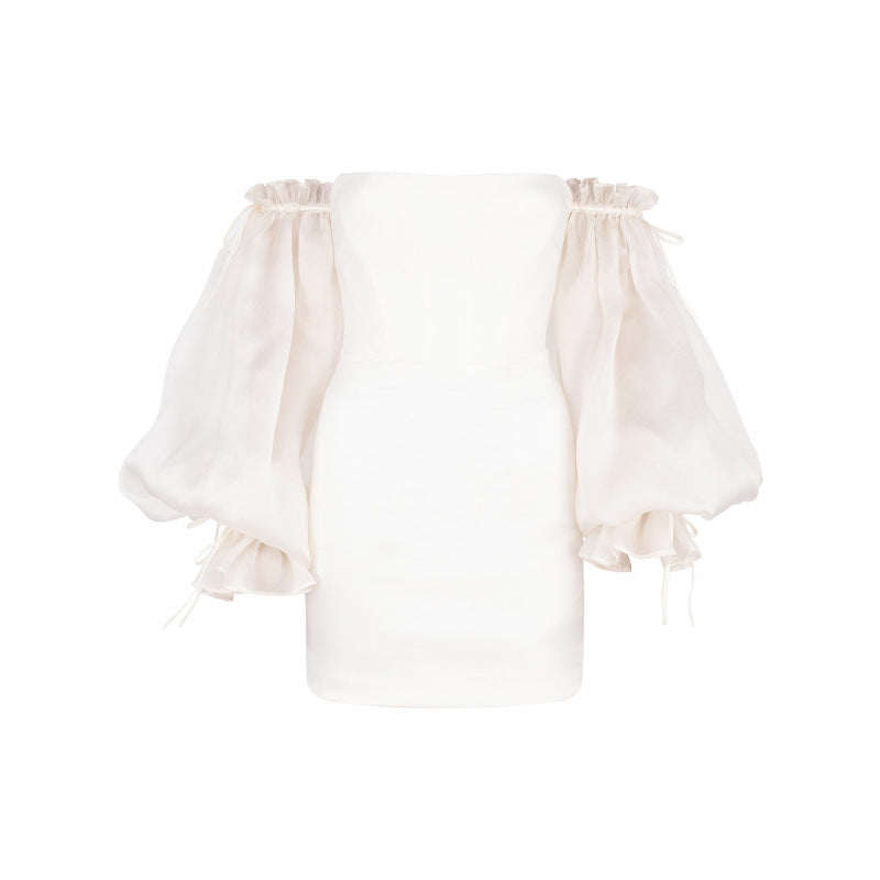 Off the Shoulder Tube Dress with Lantern Sleeves | Fitted Style | noémi