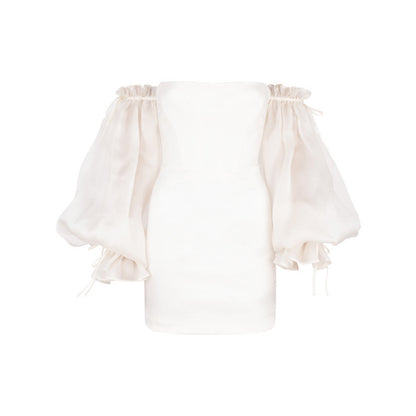 Off the Shoulder Tube Dress with Lantern Sleeves | Fitted Style | noémi