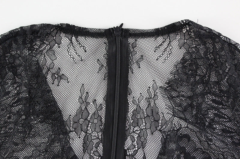 Womens Lace VNeck Bodycon Dress | Sheer Slim Fit Midi with Long Sleeves | noémi