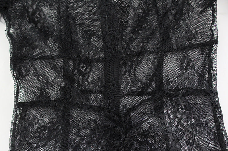 Womens Lace VNeck Bodycon Dress | Sheer Slim Fit Midi with Long Sleeves | noémi