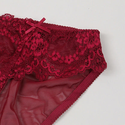 Ultra Thin Lace Mesh Cutout Briefs with Cotton Lining and Low Waist Fit | noémi