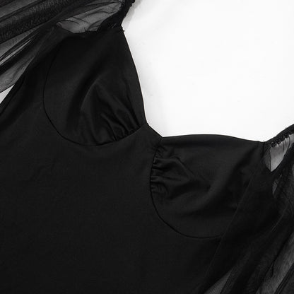 Mesh Puff Sleeve Pleated Bodycon Dress with Panel Stitching | noémi