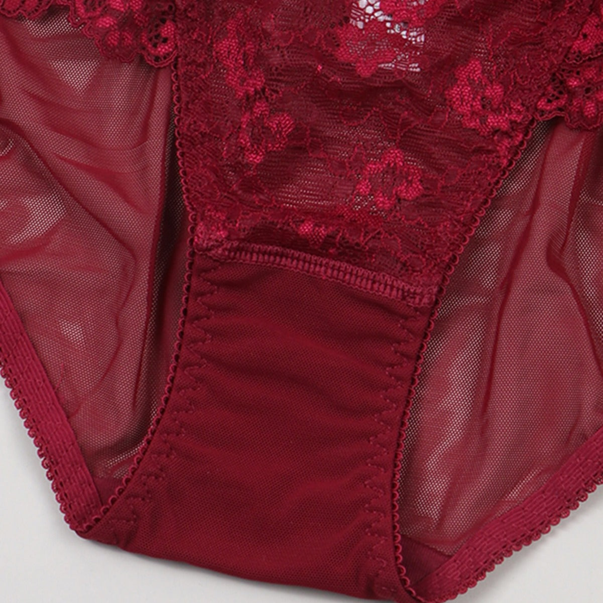 Ultra Thin Lace Mesh Cutout Briefs with Cotton Lining and Low Waist Fit | noémi