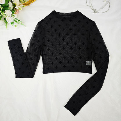 Sheer Mesh Slim Fit Long Sleeve Transparent Top | noémi